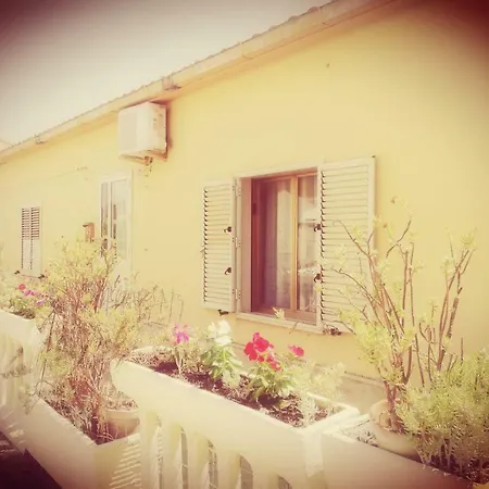 Sa Domu Antiga Villa Solarussa Exterior photo