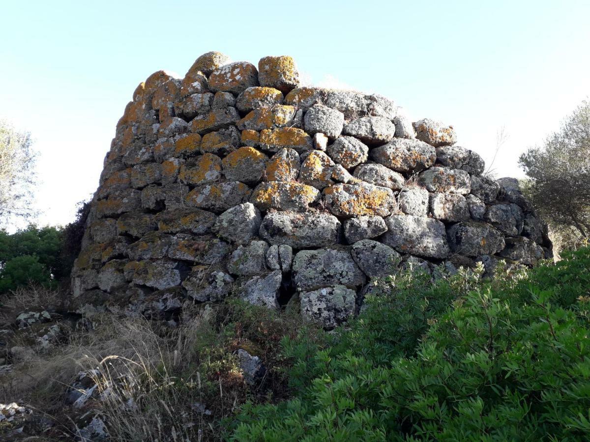 Sa Domu Antiga Holiday home